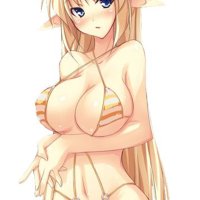 bigtit hentai swimsuit wallpaper