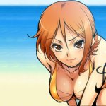 onepiece nami hentai