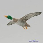 飞鸭-flyingduck