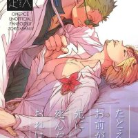 robin zoro hentai
