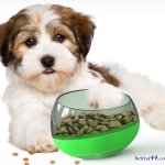pet life tập 1
