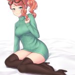 寶可夢h