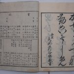佐伊本子h