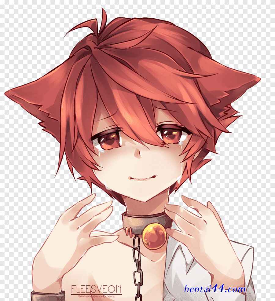 www.yaoianime.com