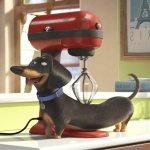pet life tập 1