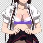 strike the blood hentai