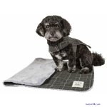pet life tập 1