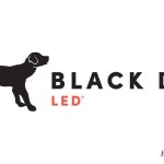 c99 black dog