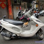 合意之下125