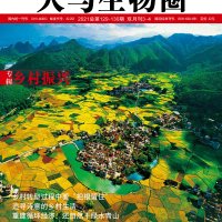 看到马上插青山华