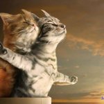 3d sexsins free full tubes