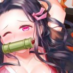 弥豆子h