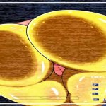 fnaf security breach porno hentai