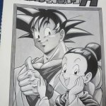 ドラゴンボールエッチ があらんど