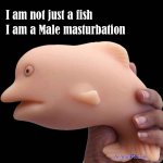 bl sextoy