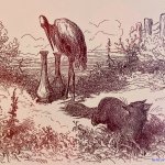 翻译 le beau maitre