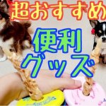 丸呑み消化
