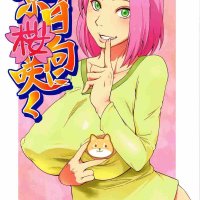 日向雏田 ntr