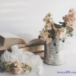 翻译 le beau maitre