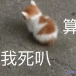 不做爱就会死