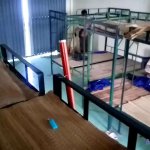 phim sex ký túc xá nữ thần