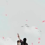 皇帝是我的h