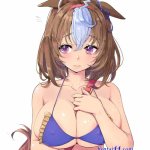 馬むすめエロ