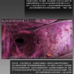 帝国jm无码