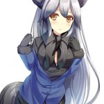 kemono opanchu