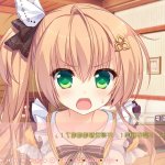 紧缚性奴全cg