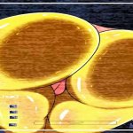 fnaf security bracy hentai hq