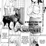 hentai x-ray cervix prego