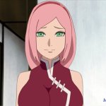 sakura sexy