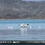 平ノ兼光制服狩3空姐篇