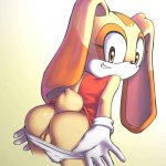 sonic hentai