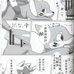 関西けもケット8 コいけ 蒼と夏 苍与夏 中国翻訳