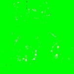 gif porno nikusa gif