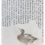 flying duck飞鸭 非人哉