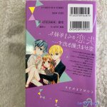 セックスセールスドライバー09