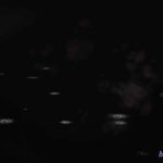 兽欲的末途 32