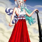 海贼王 大和 h