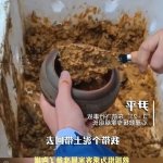 竟慢天