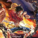 luffy x ace