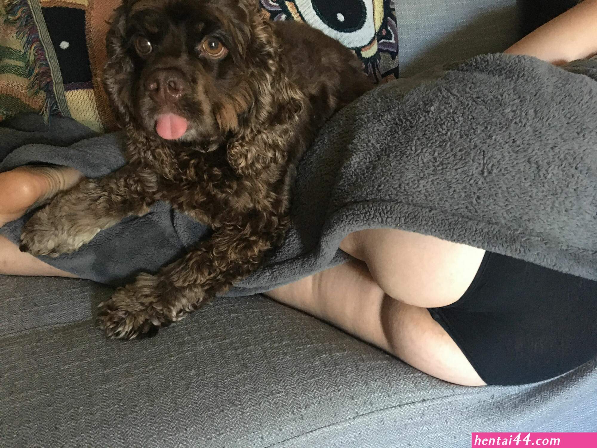 Dog on patrol milf