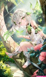 纳西坦同人本子