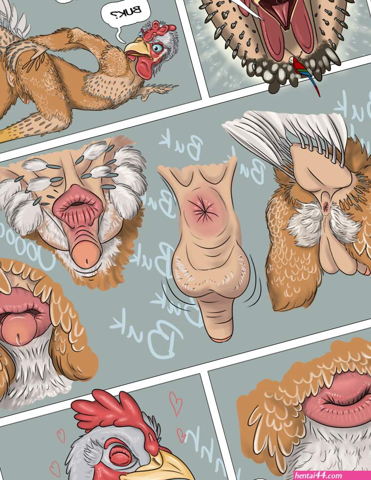 Chicken rule34