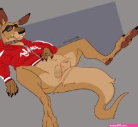 Kangaroo Jack hentai videos GIFs and images