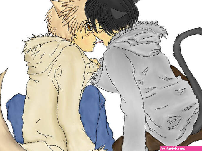 Neko yaoi