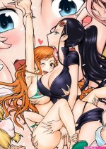 Yuriwhale Robin Nami Medley One Piece