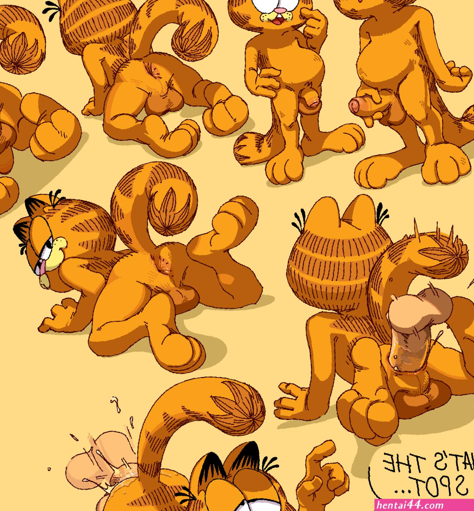 Rule34 garfield